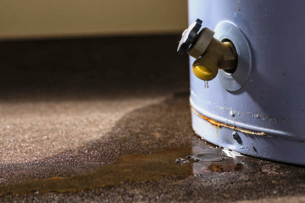 Best Water damage restoration near me  in Centralia, WA