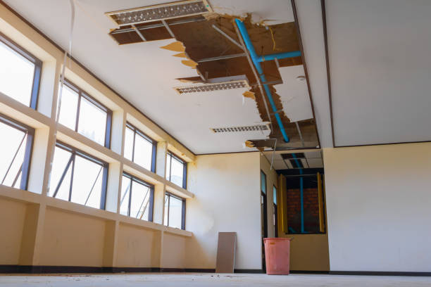 Best Carpet water damage restoration  in Centralia, WA