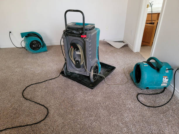 Professional Water damage restoration in Centralia, WA