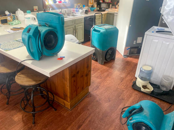 Best Flood damage cleanup  in Centralia, WA
