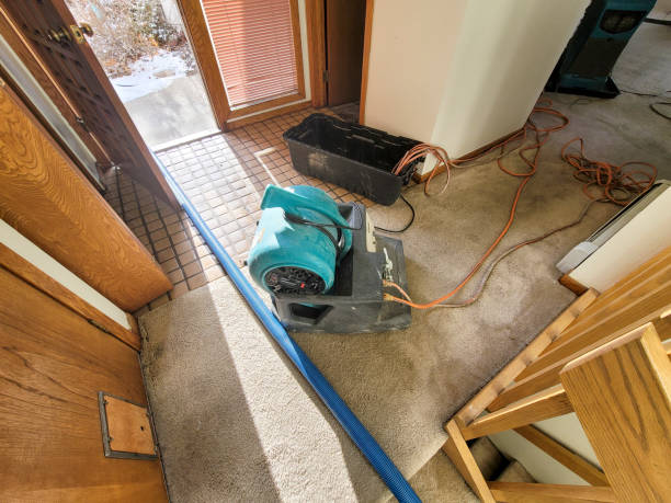 Best Water damage repair service  in Centralia, WA
