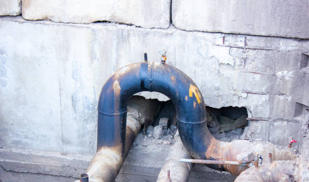 Best Mold removal after water damage  in Centralia, WA